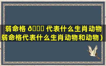 弱命格 🍀 代表什么生肖动物（弱命格代表什么生肖动物和动物）